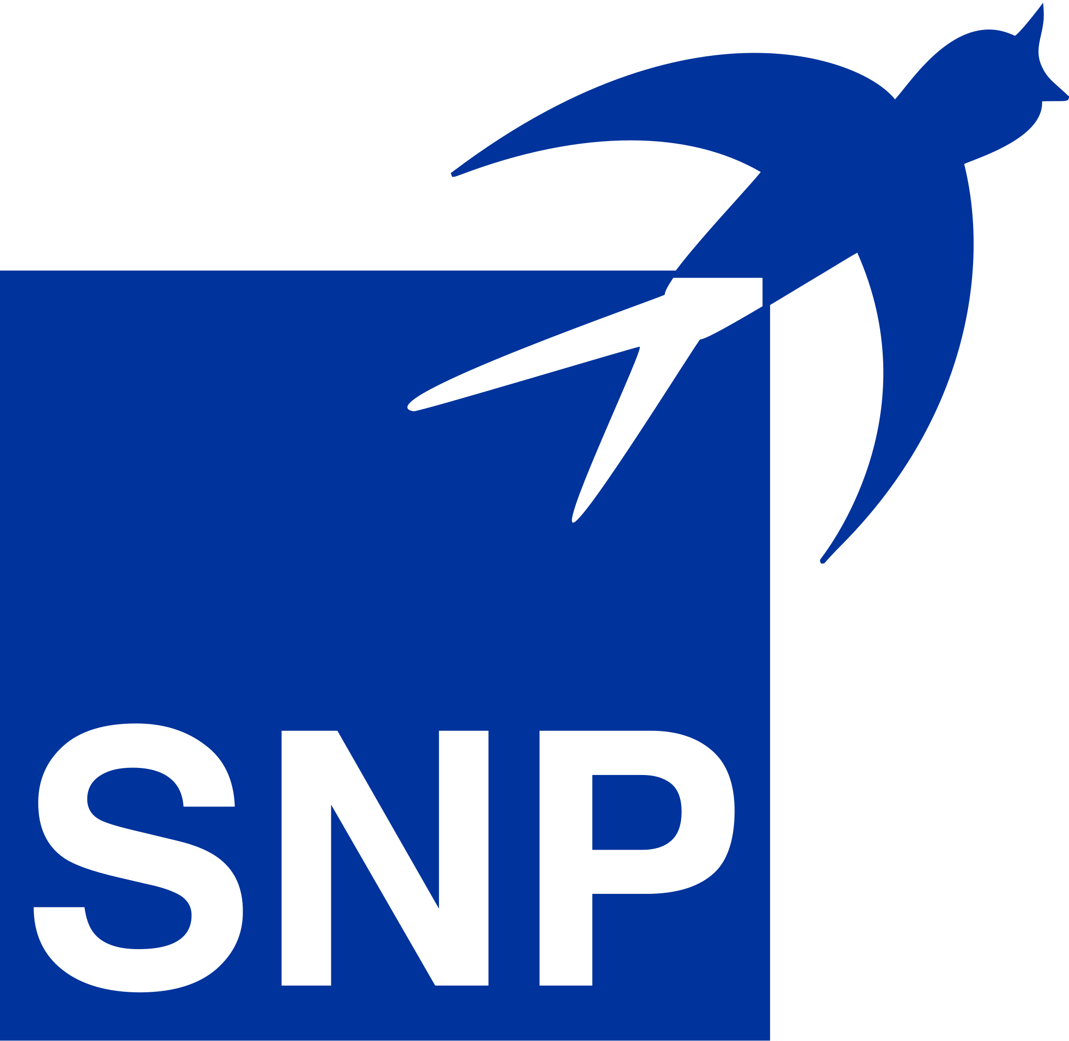 SNP-Aktie